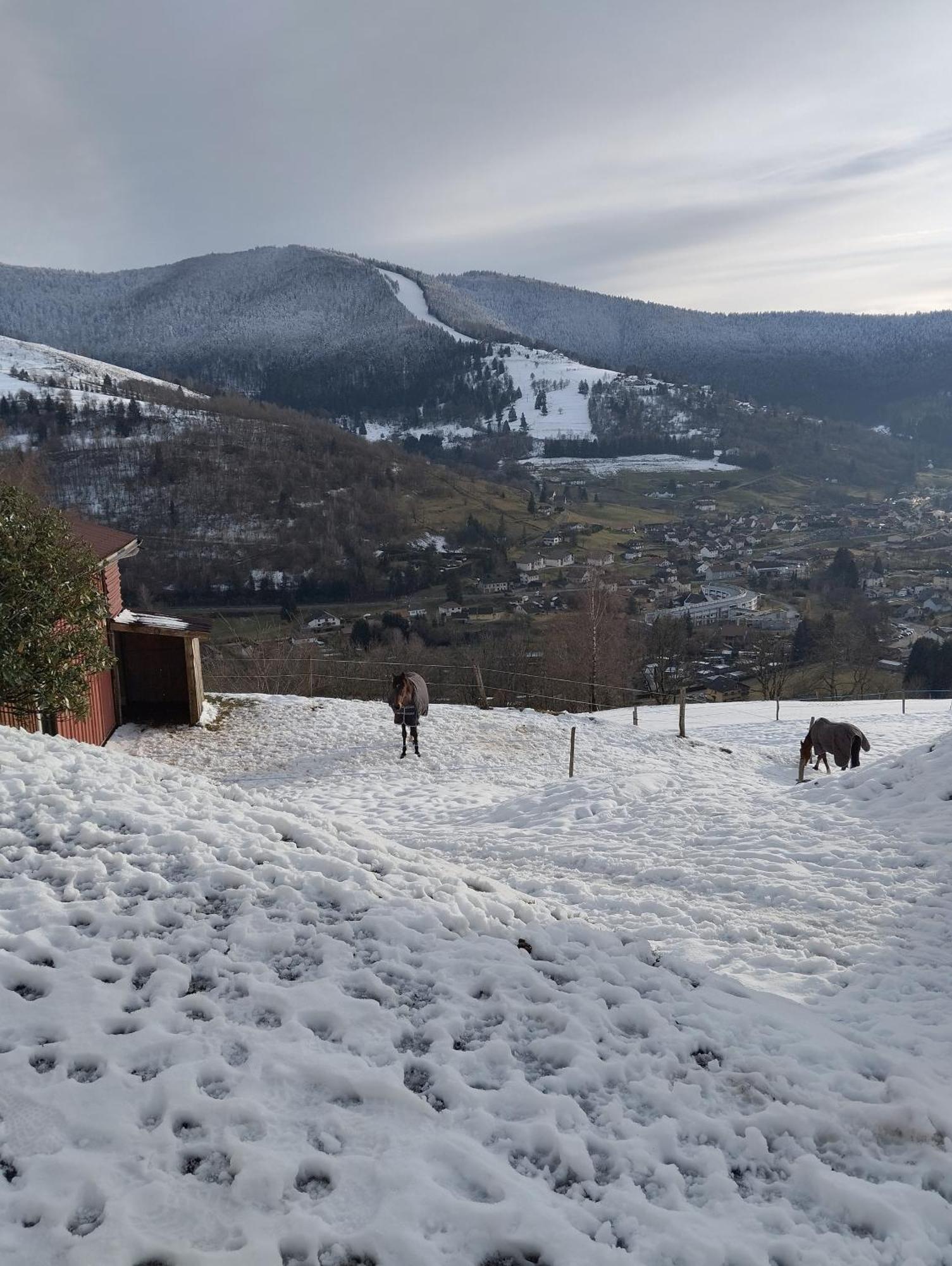 Maison De Montagne Avec Vue Panoramique Ferienhaus *